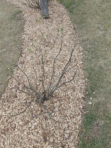 ZyMiK Garden and Wood